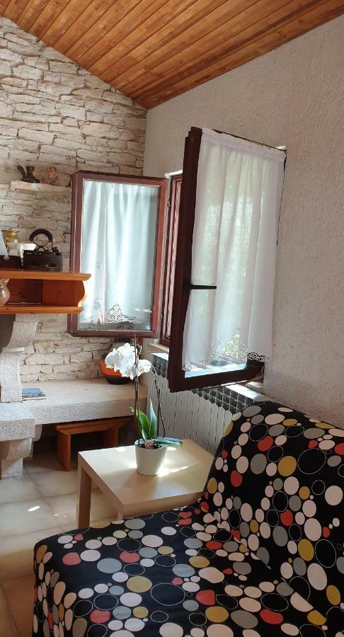 Apartament Studio Benassi Poreč Zewnętrze zdjęcie